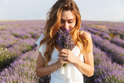 The Many Benefits of Lavender in Skincare Products