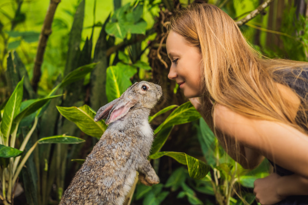 cruelty-free skincare products