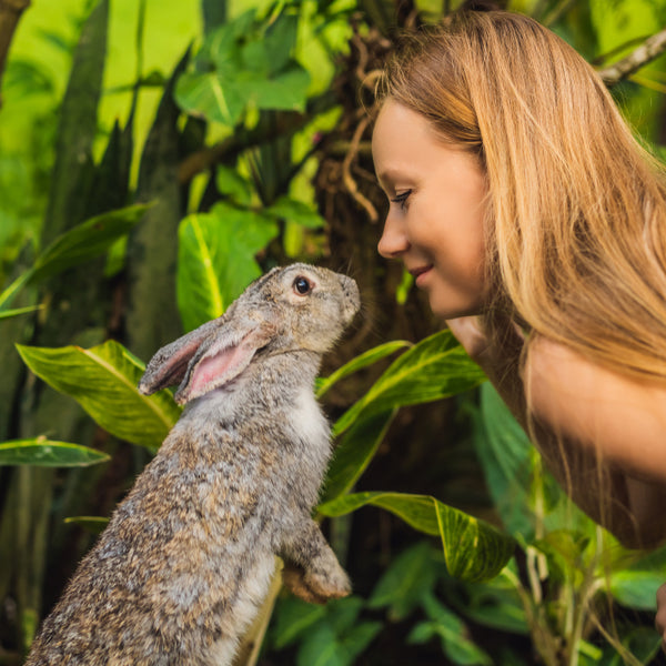Leaping Ravage Leaping Bunny Uk Go Cruelty Free With The Leaping Bunny | Cruelty Free