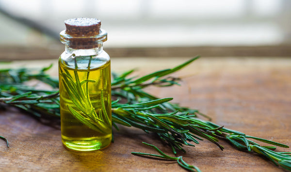 rosemary oil for skincare use