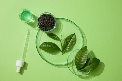 5 Benefits of Green Tea Extract for Skin