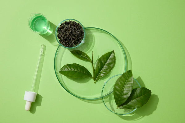 5 Benefits of Green Tea Extract for Skin
