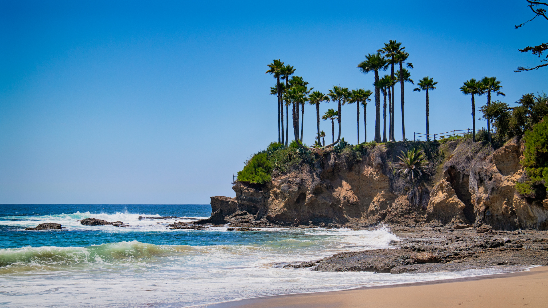 Beach with palm trees on a cliff under a clear blue sky