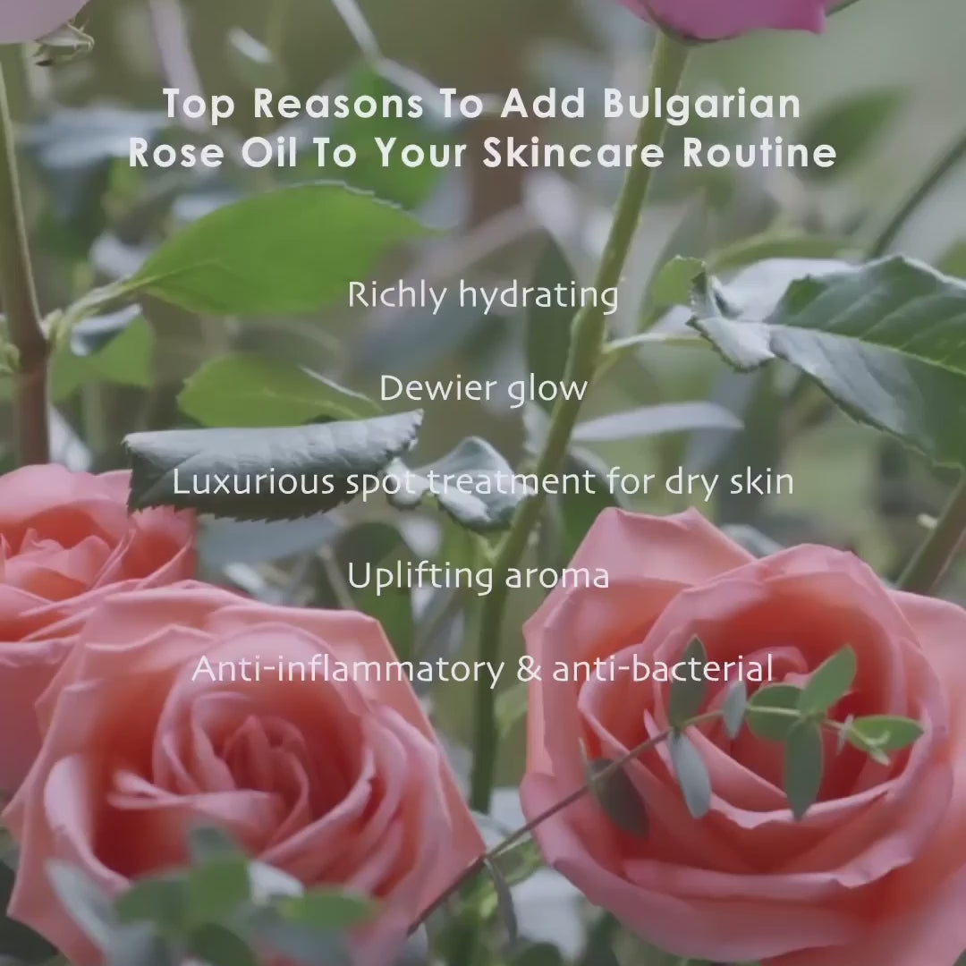 Bulgarian Rose Otto | Best Hydrating Moisturizing Rose Oil